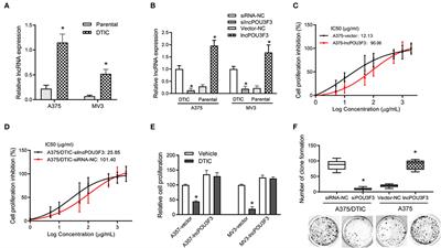 LncRNA POU3F3 Contributes to Dacarbazine Resistance of Human Melanoma Through the MiR-650/MGMT Axis